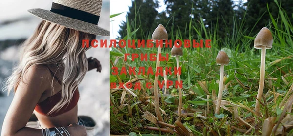 хмурый Алексеевка