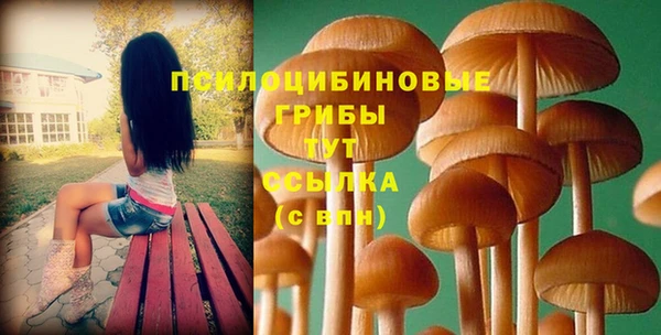 хмурый Алексеевка