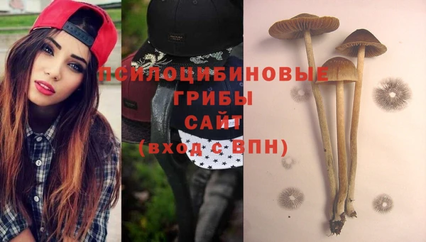 прущая мука Остров