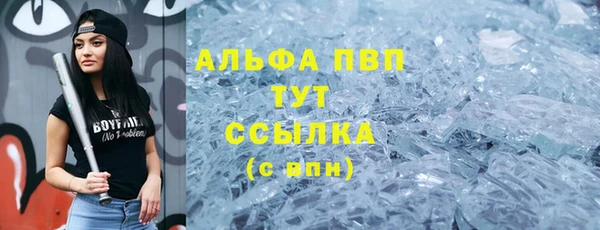 гашик Осташков