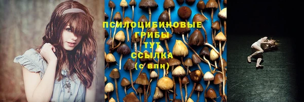 MESCALINE Алзамай