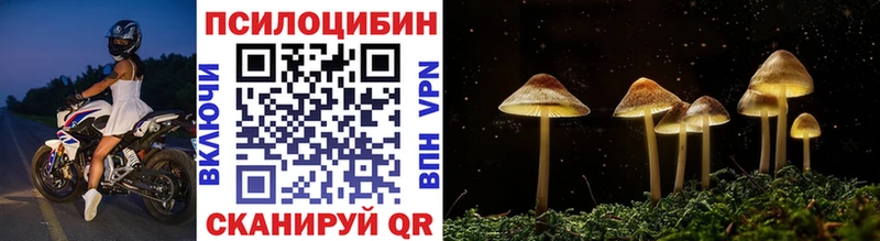 Псилоцибиновые грибы Magic Shrooms  Кольчугино 